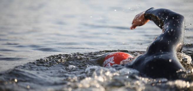 10700147_10152296830111384_2890810435166443084_o