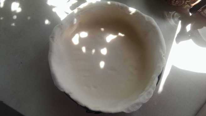 11136775_869384919766051_3763519277697276261_n