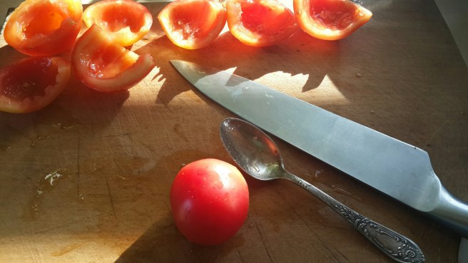 20150830_170414_resized